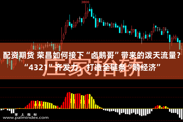 配资期货 荣昌如何接下“卤鹅哥”带来的泼天流量？“4321”齐发力，打造全链条“鹅经济”