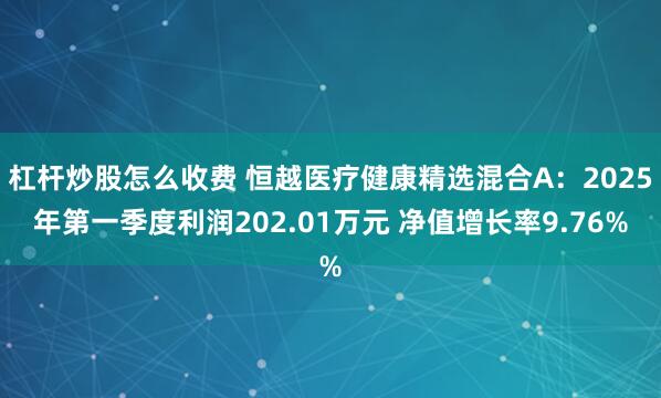 杠杆炒股怎么收费 恒越医疗健康精选混合A：2025年第一季度利润202.01万元 净值增长率9.76%