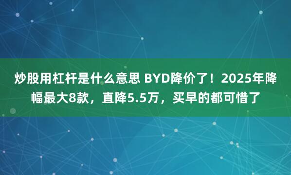 炒股用杠杆是什么意思 BYD降价了！2025年降幅最大8款，直降5.5万，买早的都可惜了