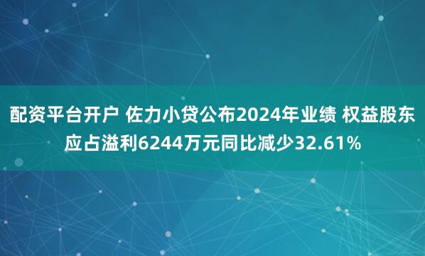 配资平台开户 佐力小贷公布2024年业绩 权益股东应占溢利6244万元同比减少32.61%