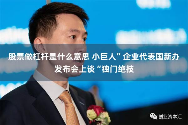 股票做杠杆是什么意思 小巨人”企业代表国新办发布会上谈“独门绝技