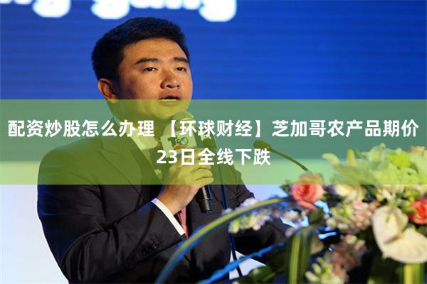 配资炒股怎么办理 【环球财经】芝加哥农产品期价23日全线下跌