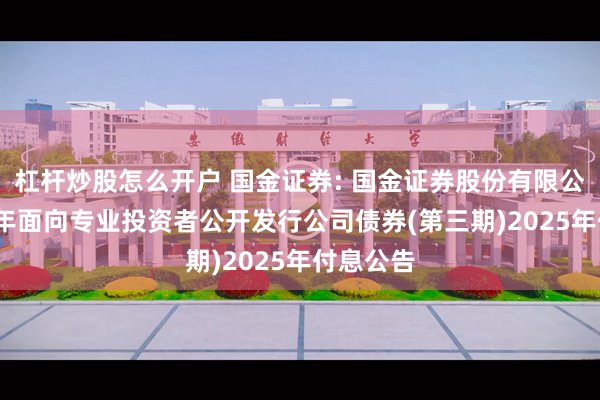 杠杆炒股怎么开户 国金证券: 国金证券股份有限公司2024年面向专业投资者公开发行公司债券(第三期)2025年付息公告