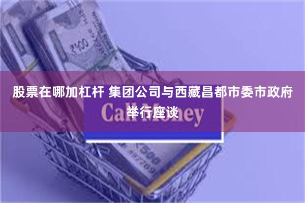 股票在哪加杠杆 集团公司与西藏昌都市委市政府举行座谈