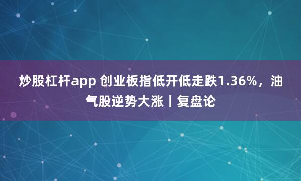 炒股杠杆app 创业板指低开低走跌1.36%，油气股逆势大涨丨复盘论