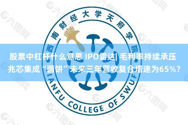 股票中杠杆什么意思 IPO雷达| 毛利率持续承压 兆芯集成“画饼”未来三年营收复合增速为65%？