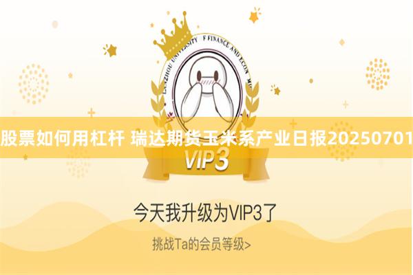 股票如何用杠杆 瑞达期货玉米系产业日报20250701